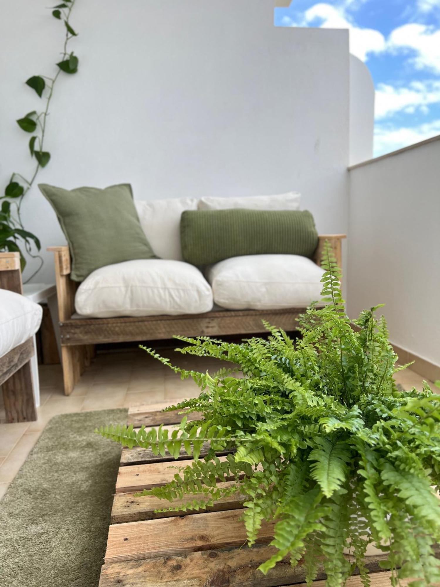 Homestay Ilumina